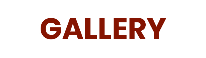 IMG-GALLERY